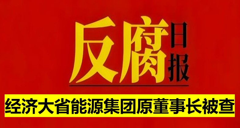 經濟大省能源集團原董事長被查！